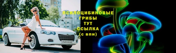 мдпв Покровск