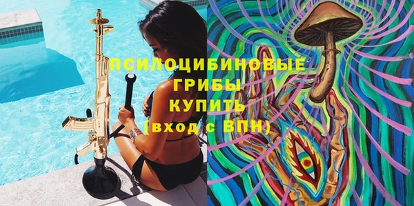 ALPHA-PVP Покров